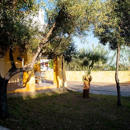 Delfini Verde