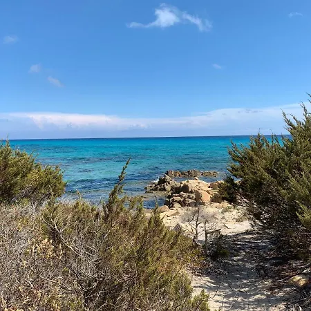 Delfini Verde * Cala Liberotto